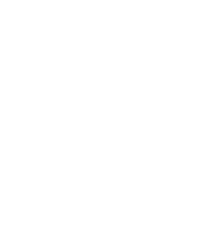 Seanapse
