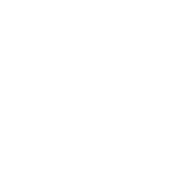 Seanapse